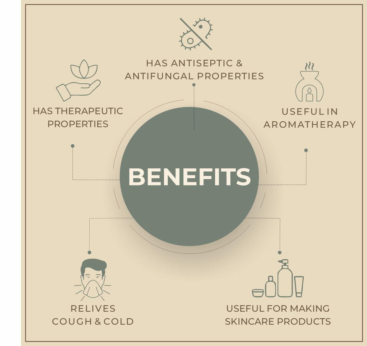 Salvia Natural Essential Oils Anise Star Essential Oil, 100% Pure Undiluted & Natural, For Aromatherapy, Eases Cough & Cold, Reduces Tension, Diminishes Acne Salvia Natural Essential Oils Anise Star Essential Oil, 100% Pure Undiluted & Natural, For Aromatherapy, Eases Cough & Cold, Reduces Tension, Diminishes Acne